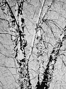"River Birch Sky" giclee of original pen & ink drawing; 24"x18" image size